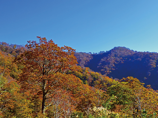 能郷白山開山祭
